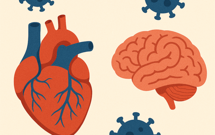 Viren bedrohen Herz und Hirn - direkt und indirekt
